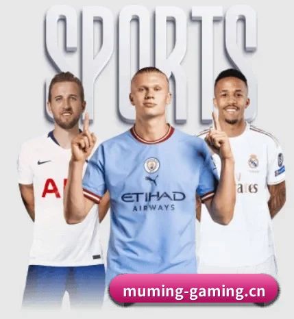 沐鸣娱乐gaming APP