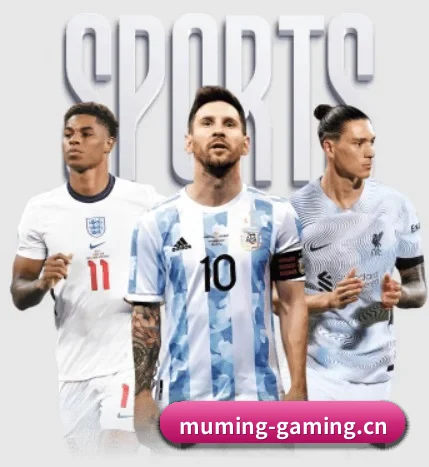 沐鸣娱乐gaming APP 界面