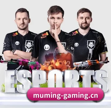 沐鸣娱乐gaming APP